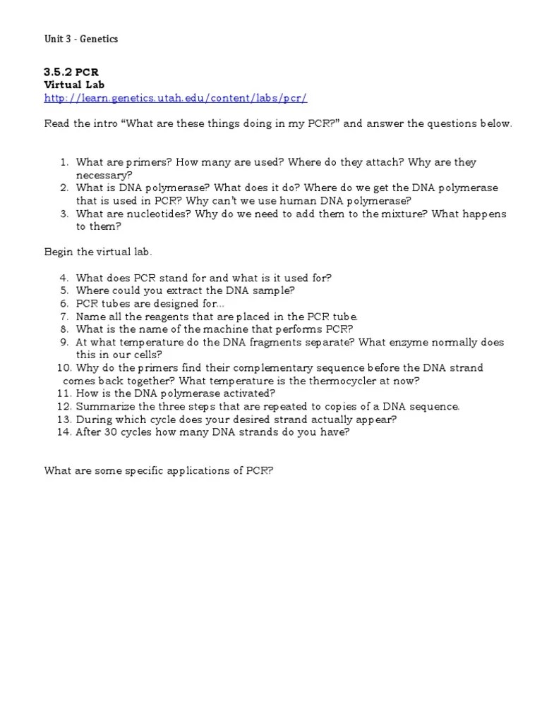 3.5 PCR Virtual Lab PDF