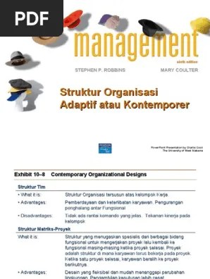 Organisasi Adaptif | PDF