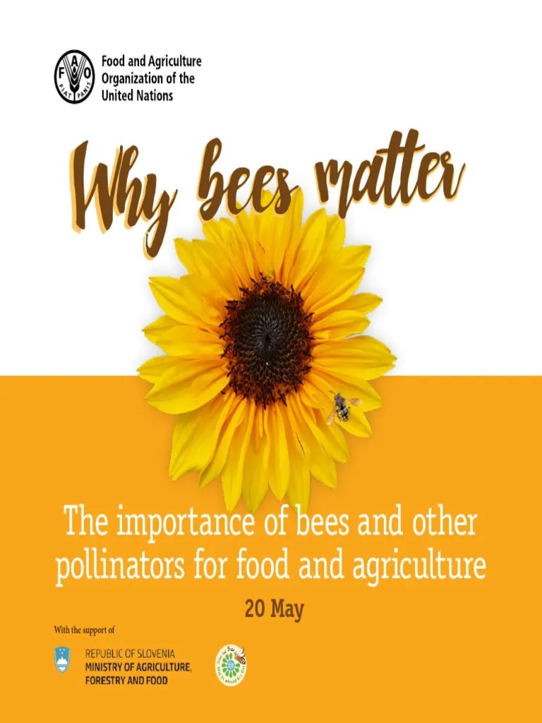 Why Bees Matter PDF Pollinators Pollination