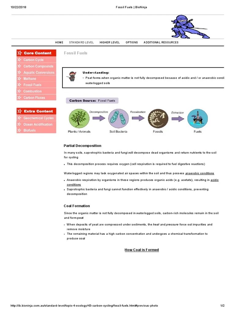 Fossil Fuels BioNinja PDF Fuels