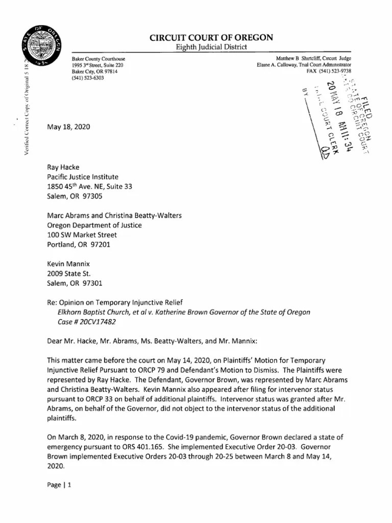 Opinion On Injunction PDF Executive Order State Of Emergency