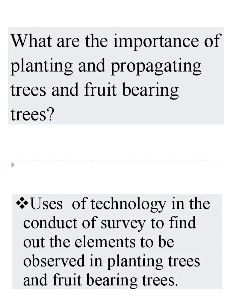 What Are The Importance of Planting and Propagating Trees and Fruit