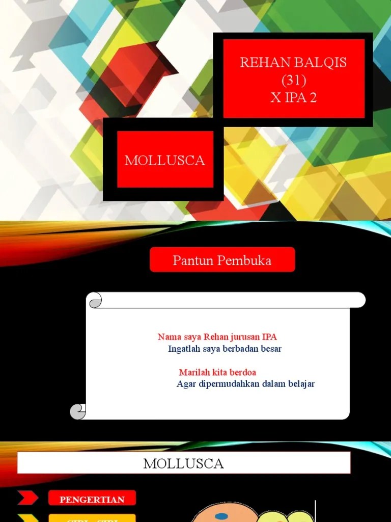 Mollusca Biologi | PDF