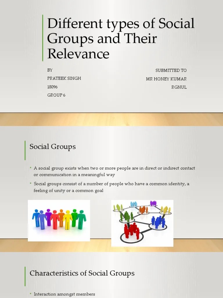 Different Types of Social Groups and Their Relevance PDF