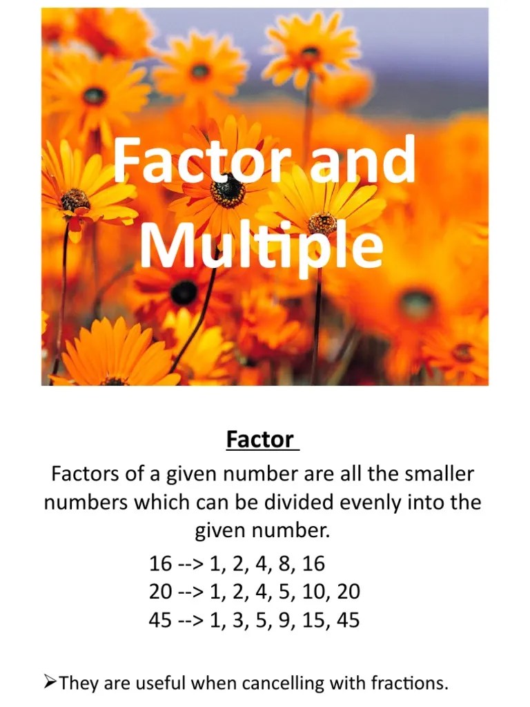 Factors, Multiples, Highest Common Factors and Lowest Common Multiples PDF Mathematics Algebra