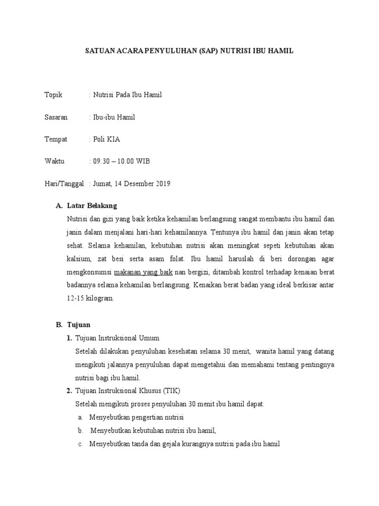 Sap Nutrisi Ibu Hamil | PDF