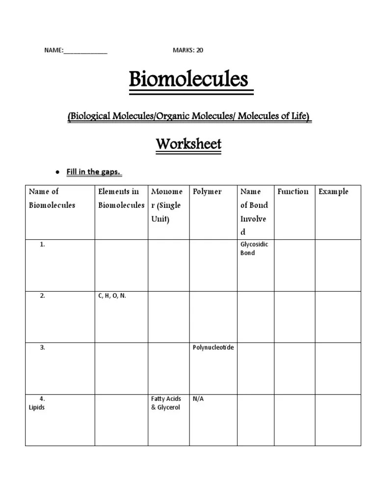 Biomolecules: Worksheet | PDF