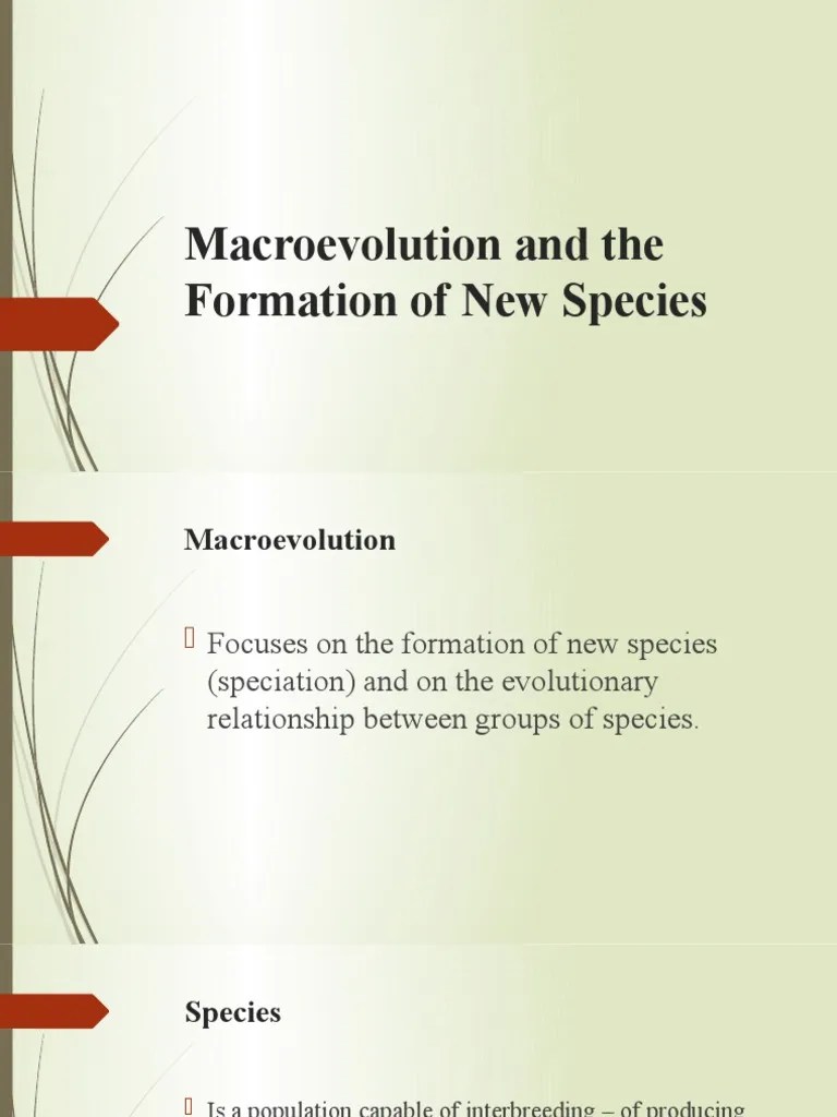 Macroevolution and The Formation of New Species PDF Homo Ape