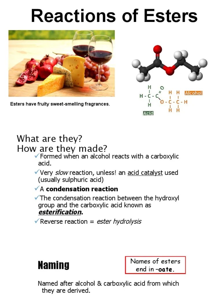 The Smell and Synthesis of Esters Formation, Naming, Hydrolysis, and