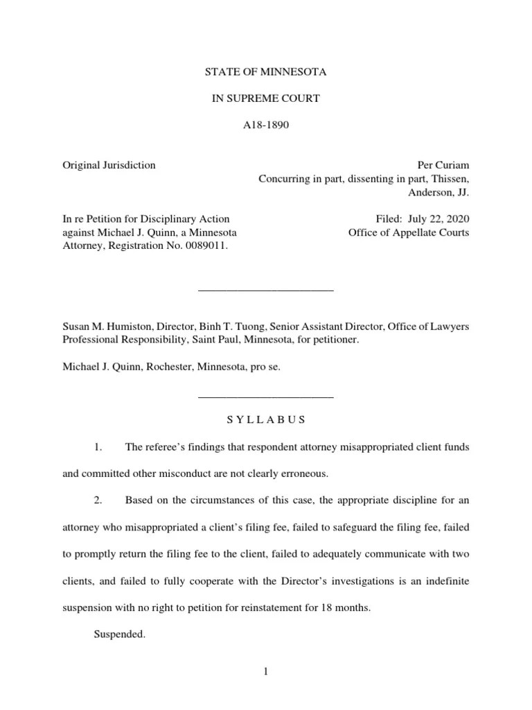 Minnesota Supreme Court decision on petition for disciplinary action