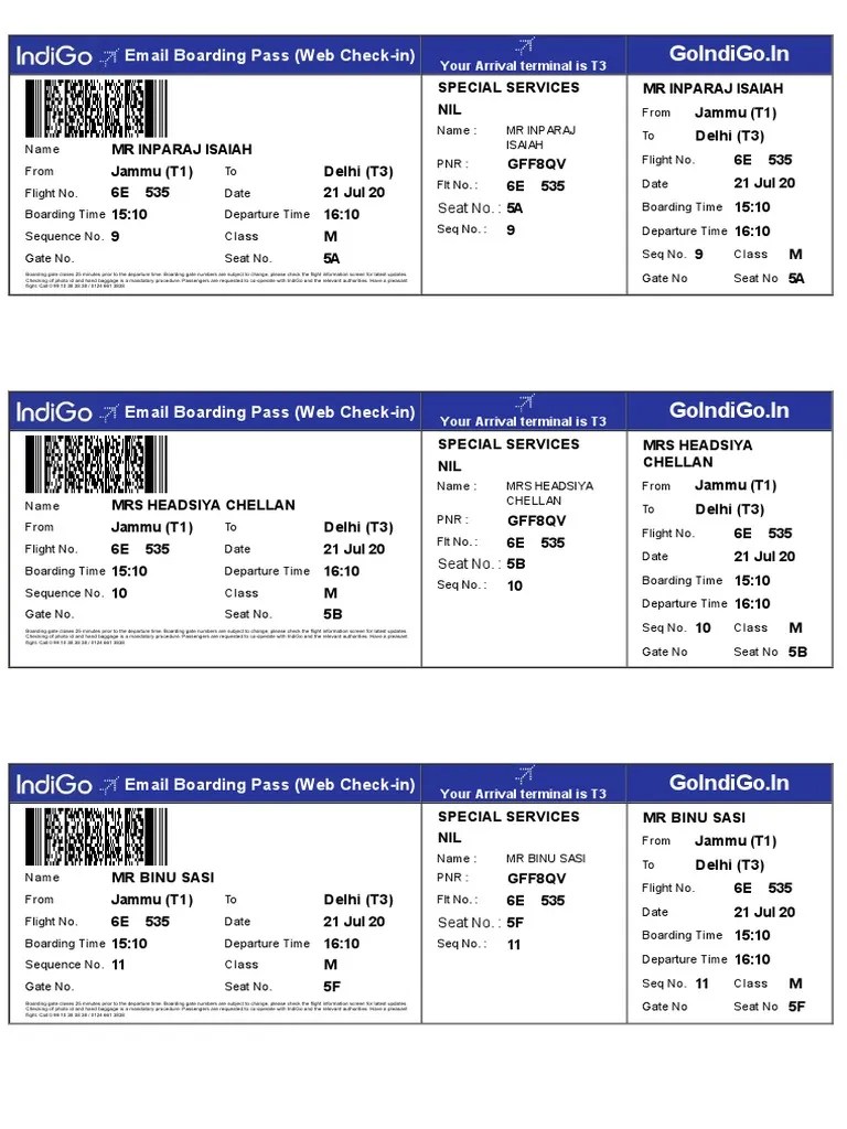 Goindigo In Email Boarding Pass ( Check In) PDF Aviation