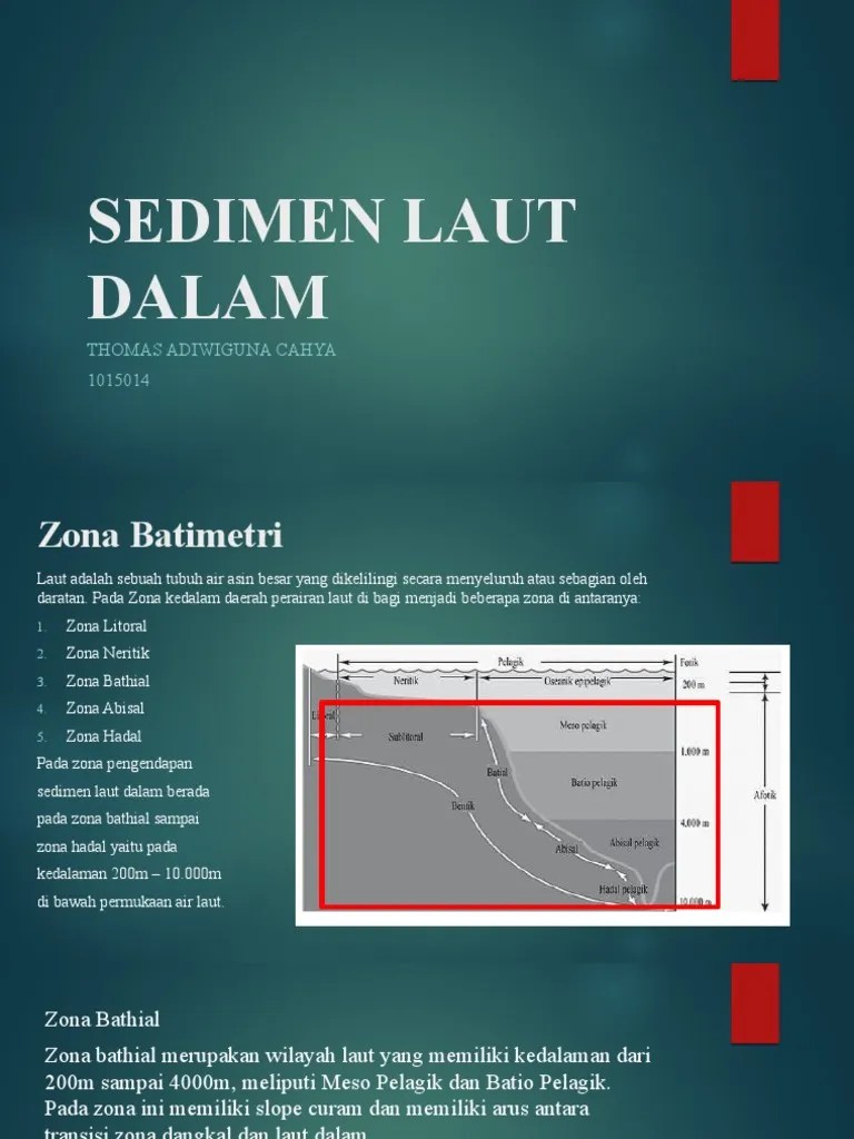 Sedimen Laut Dalam | PDF