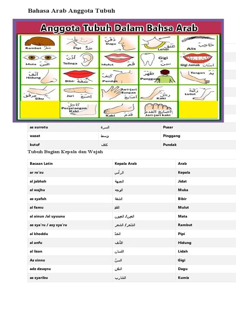 Bahasa Arab Anggota Tubuh | PDF