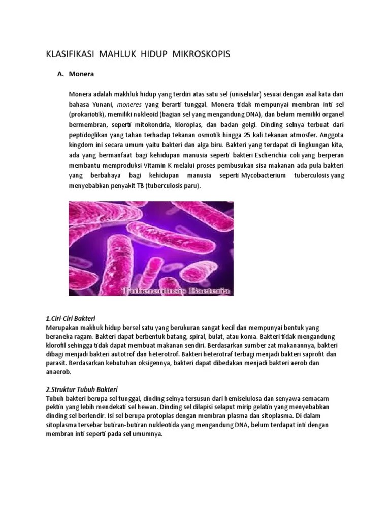 Klasifikasi Mahluk Hidup Mikroskopis | PDF