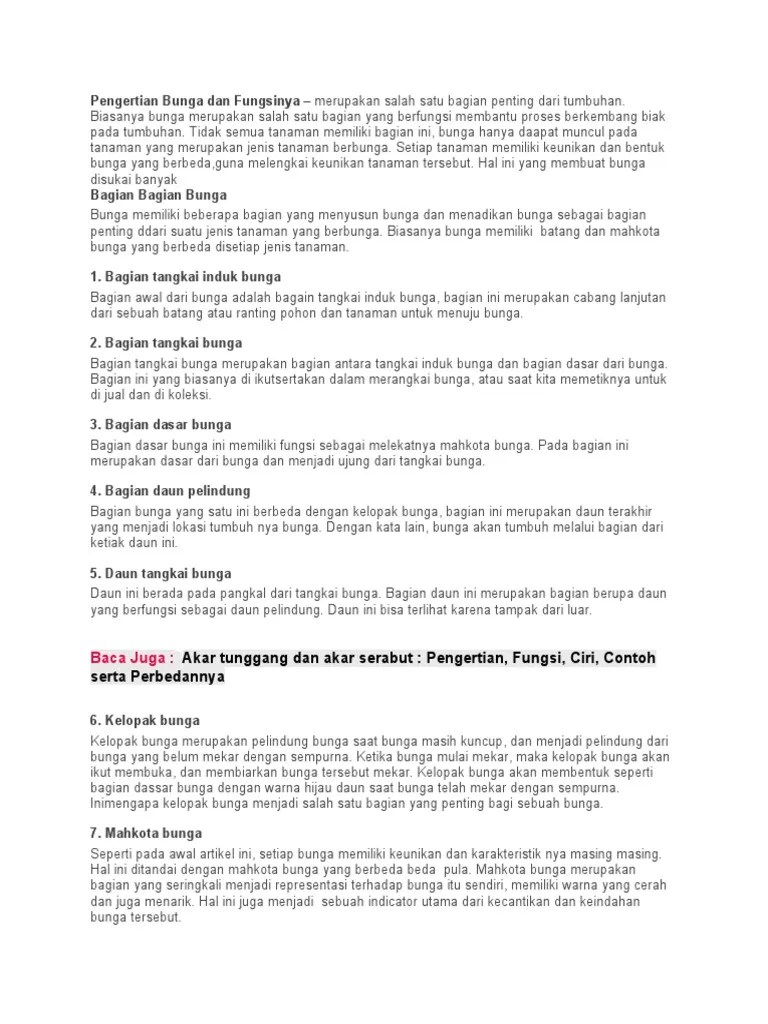 Morfologi Bunga | PDF