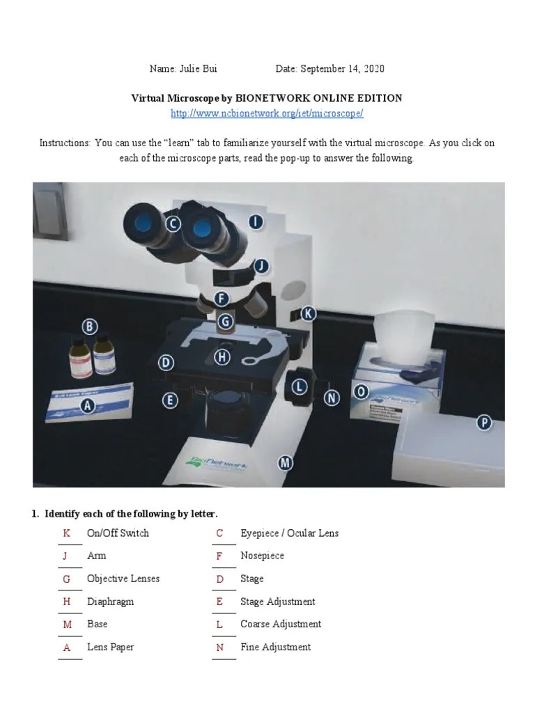 Julie Bui Virtual Microscope Lab Worksheet PDF Microscope White