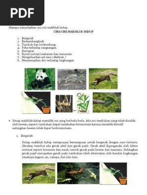 CIRI-CIRI M. Hidup | PDF