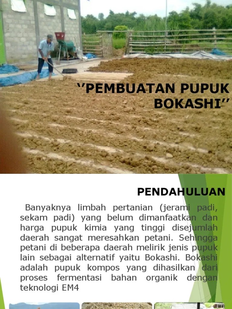 Materi Penyuluhan Erna | PDF