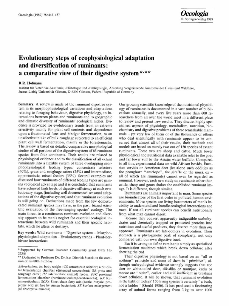 Rumination PDF PDF Ruminant Organisms