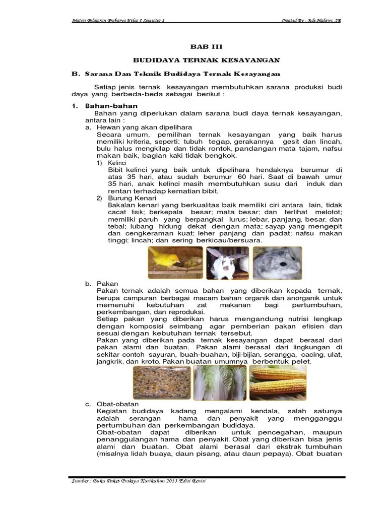 B. Sarana Dan Teknik Budi Daya Ternak Kesayangan | PDF