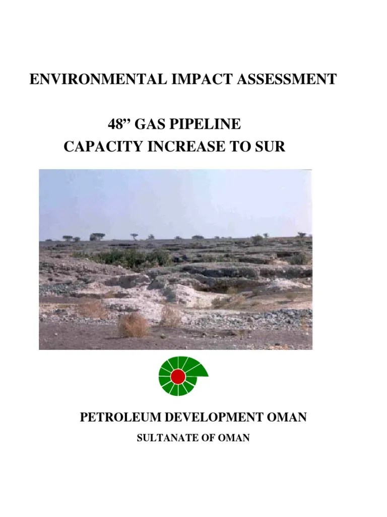 Gas Pipeline Capacity Increase To Sur PDF Environmental Impact