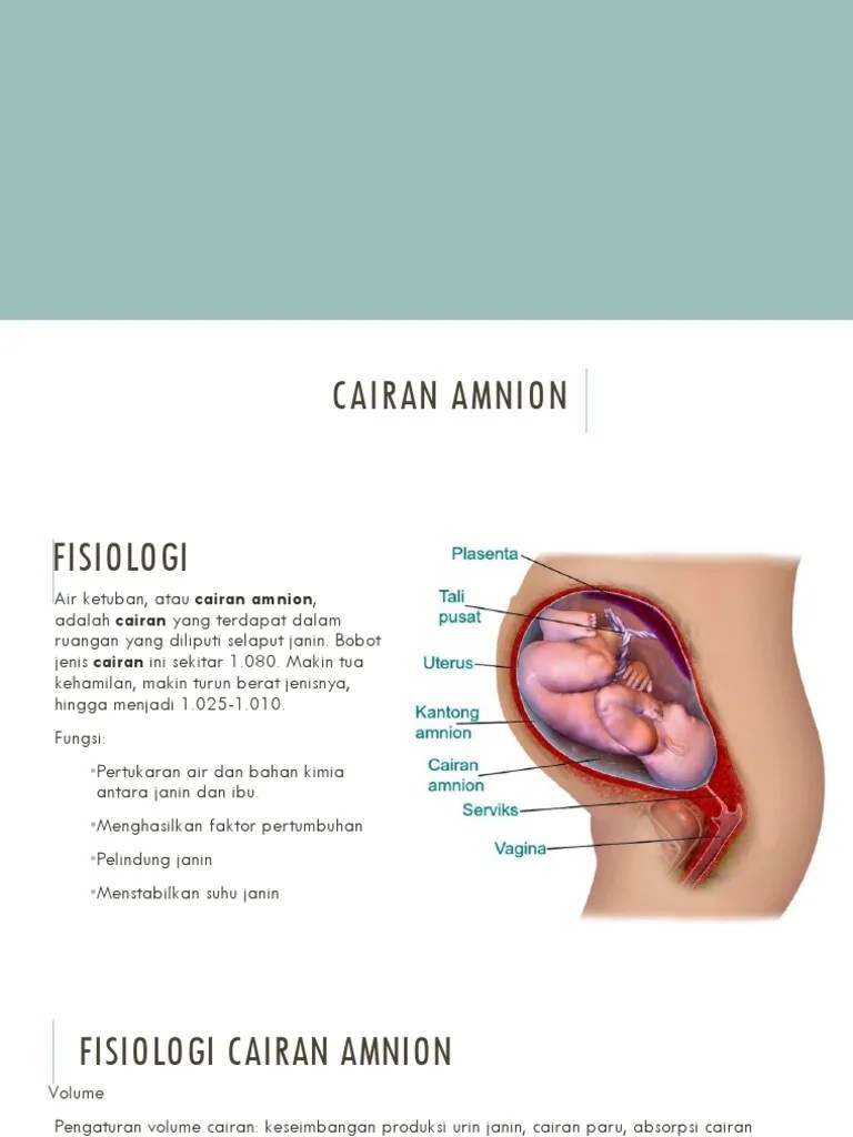 Cairan Amnion | PDF
