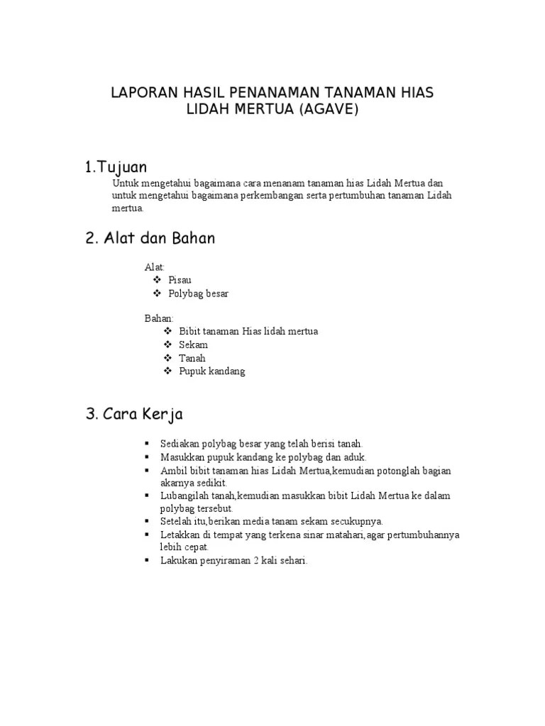 Laporan Hasil Penanaman Tanaman Hias | PDF