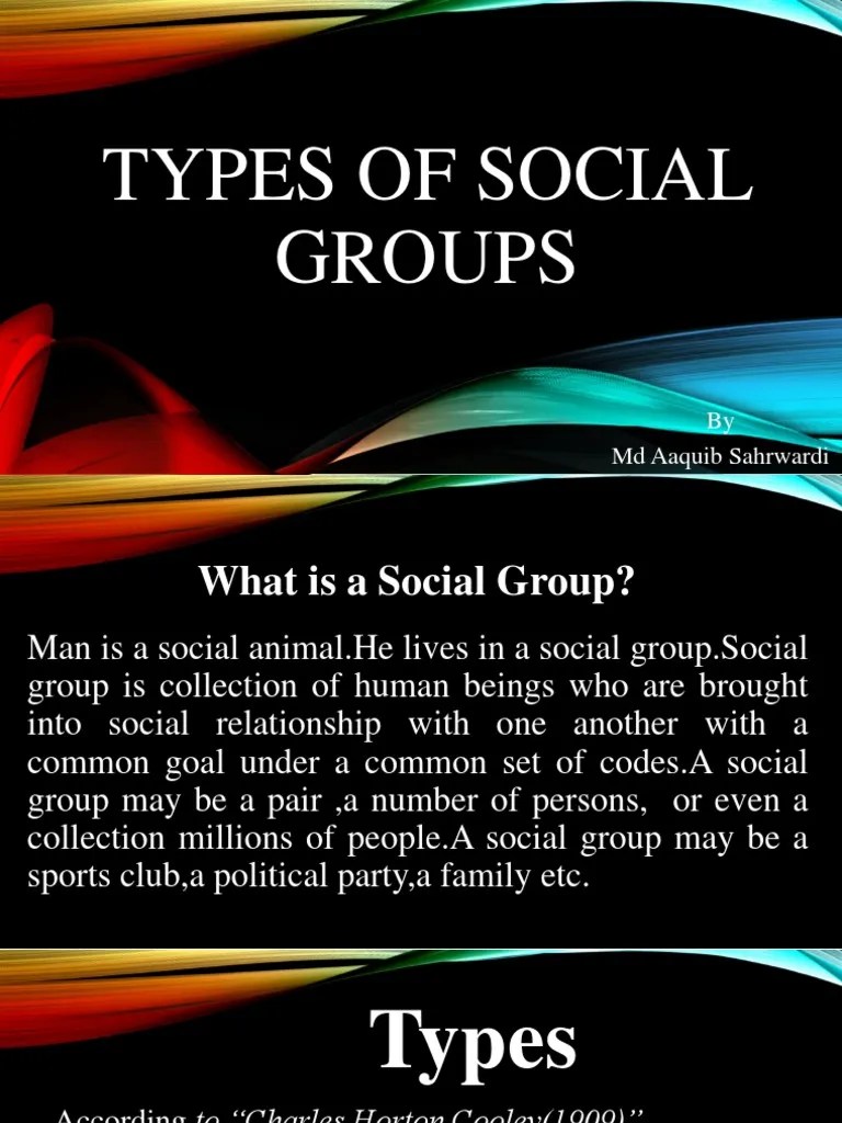 Types of Social Groups by MD Aaquib Sahrwardi PDF Social Group