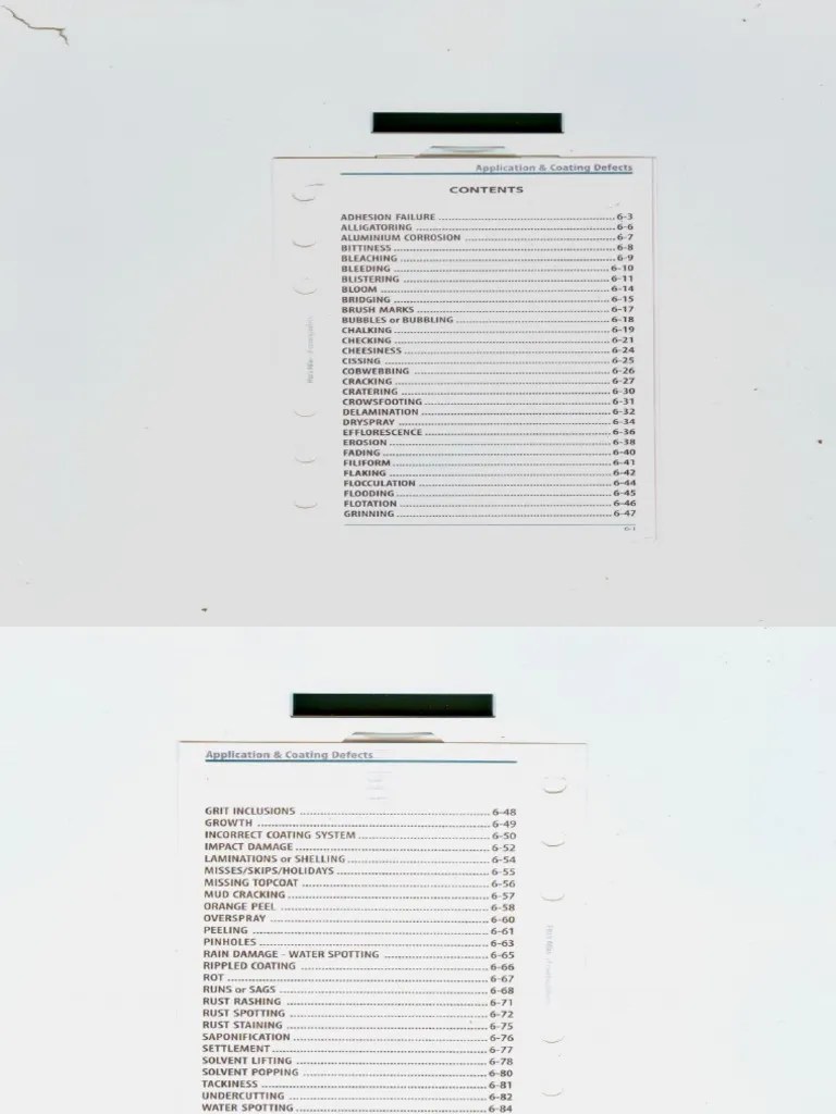 Paint Defects PDF