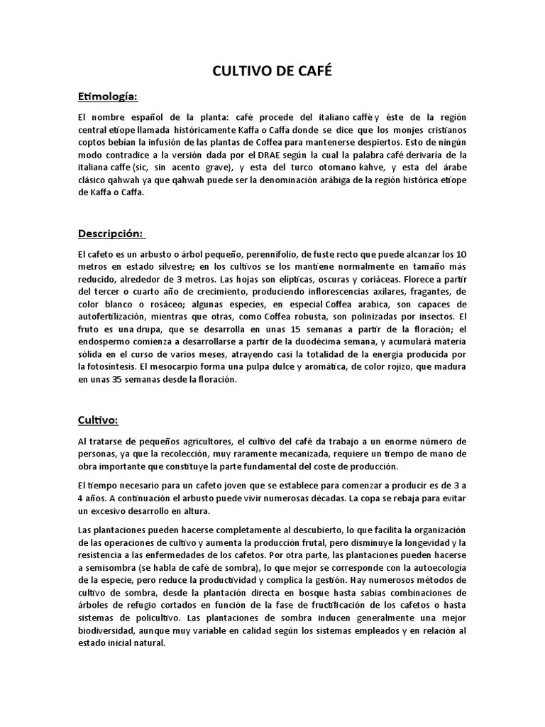Cultivo Y Produccin De Caf Pdf Plantas Agricultura