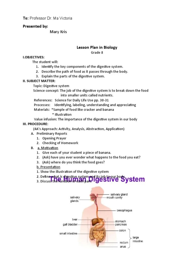 Grade 8-Digestive Lesson Plan | PDF | Human Digestive System | Digestion