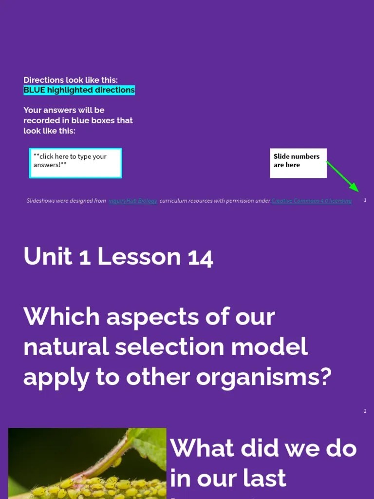 JAKE GREEN Lesson 14 Ihub Biology Unit1 Bend2 PDF Natural