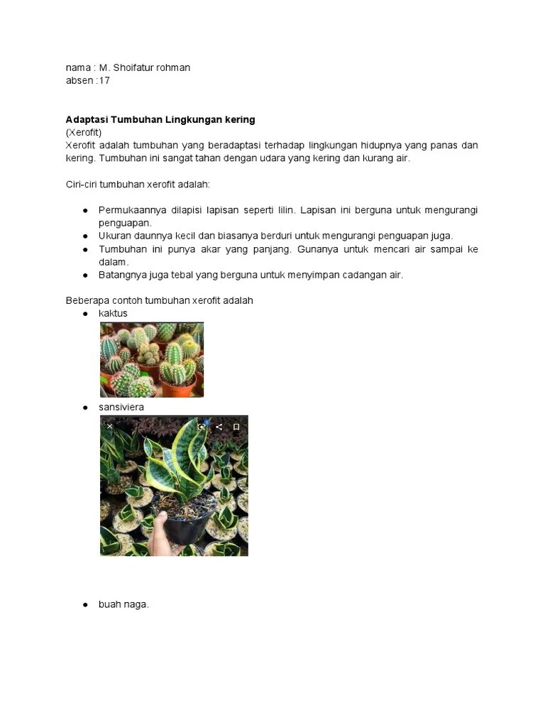 Dokumen Tanpa Judul | PDF