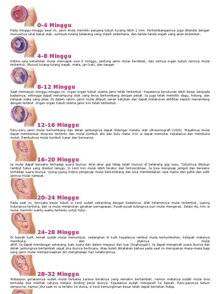 Air Ketuban Normal 28 Minggu