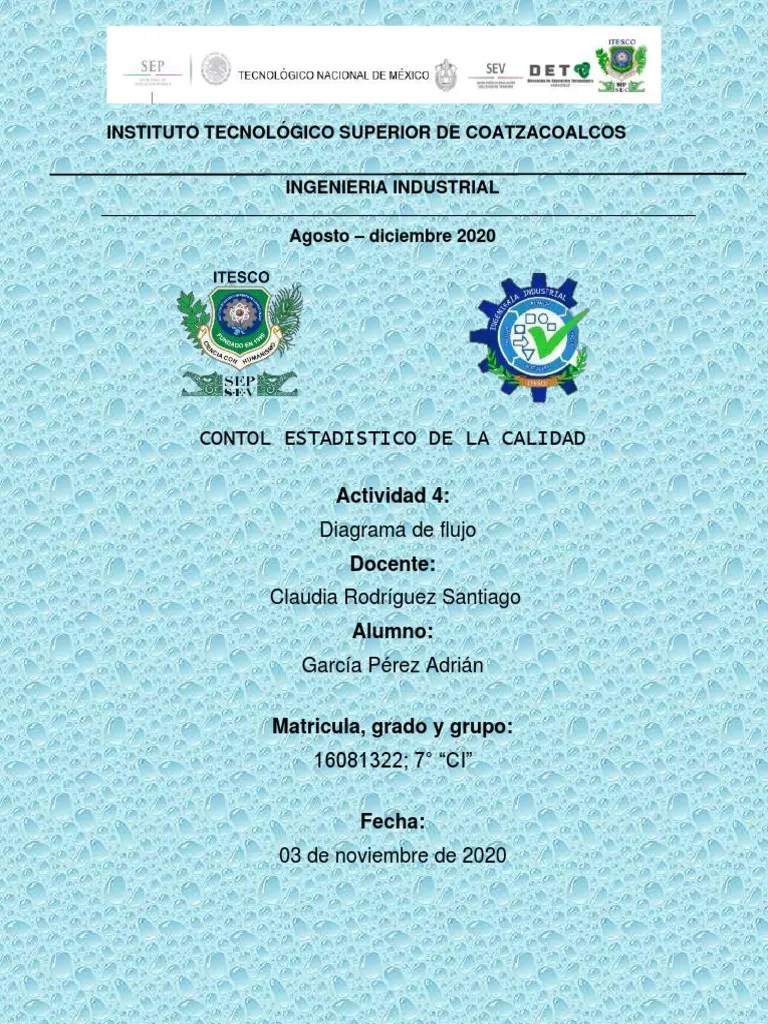 Control Estadístico de La Calidad - Diagrama de Flujo | PDF | Calidad