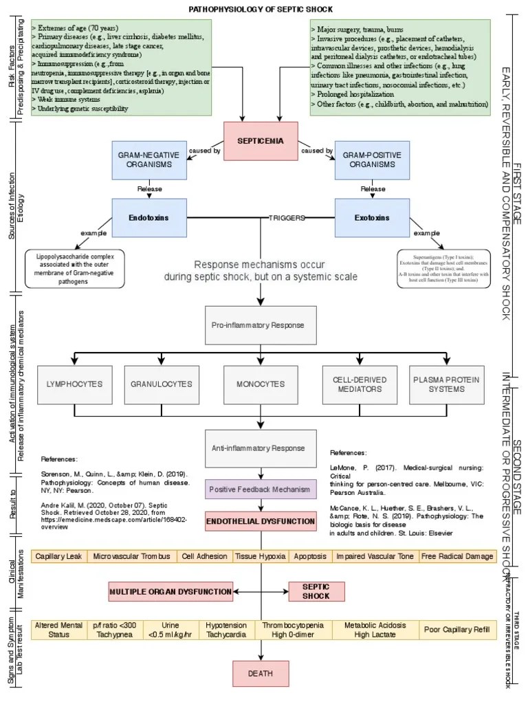 Pathophysiology of Septic Shock Draft 1 PDF Sepsis Shock (Circulatory)