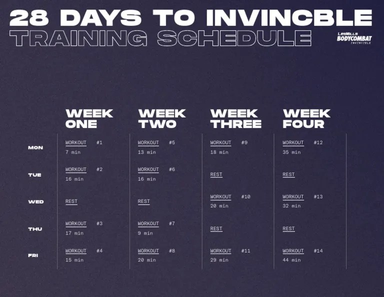 Invincible 28 Day Training Schedule PDF PDF