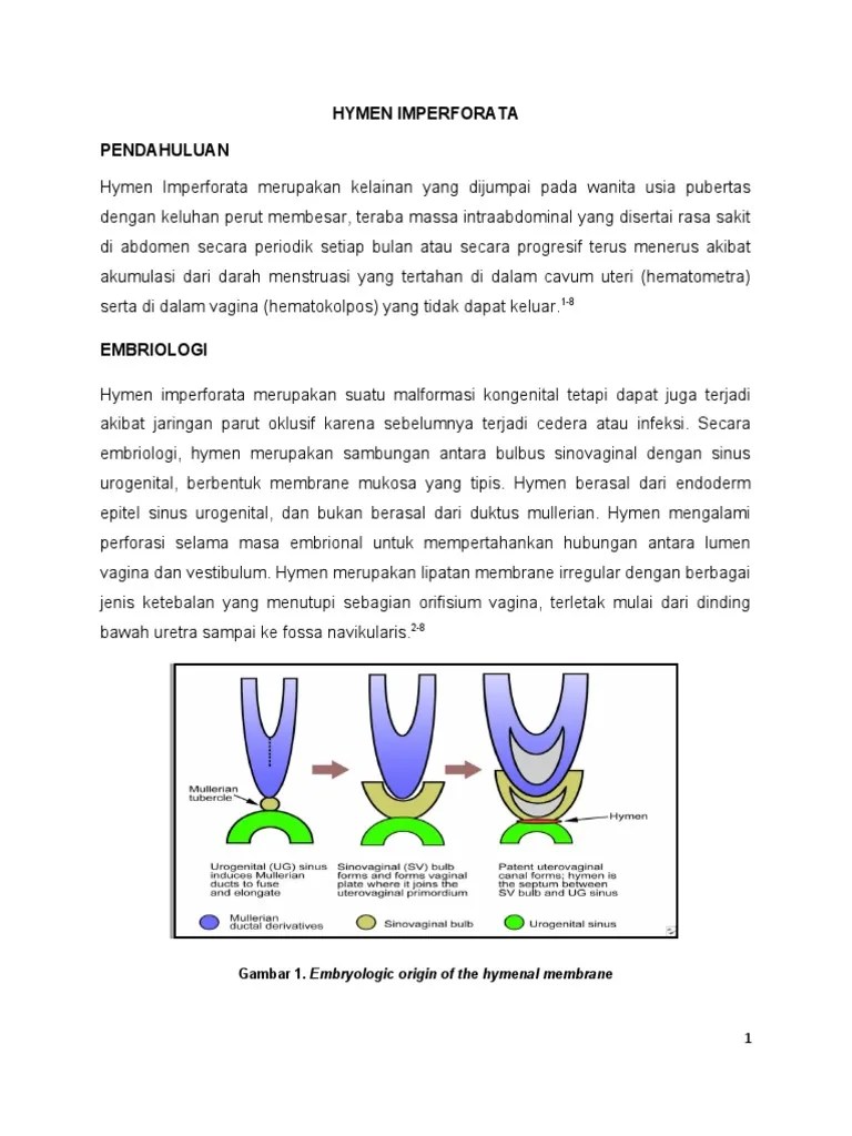 Hymen Imperforata PDF