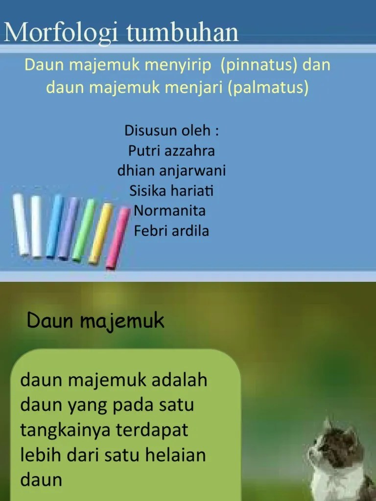 Power Poin Mortum | PDF