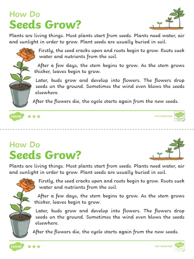 Au L 607 How Do Seeds Grow Explanation Writing Sample Ver 1 PDF PDF