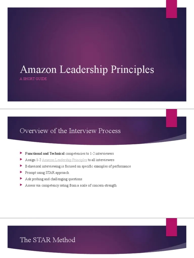 Amazon Leadership Principles A Short Guide PDF Leadership