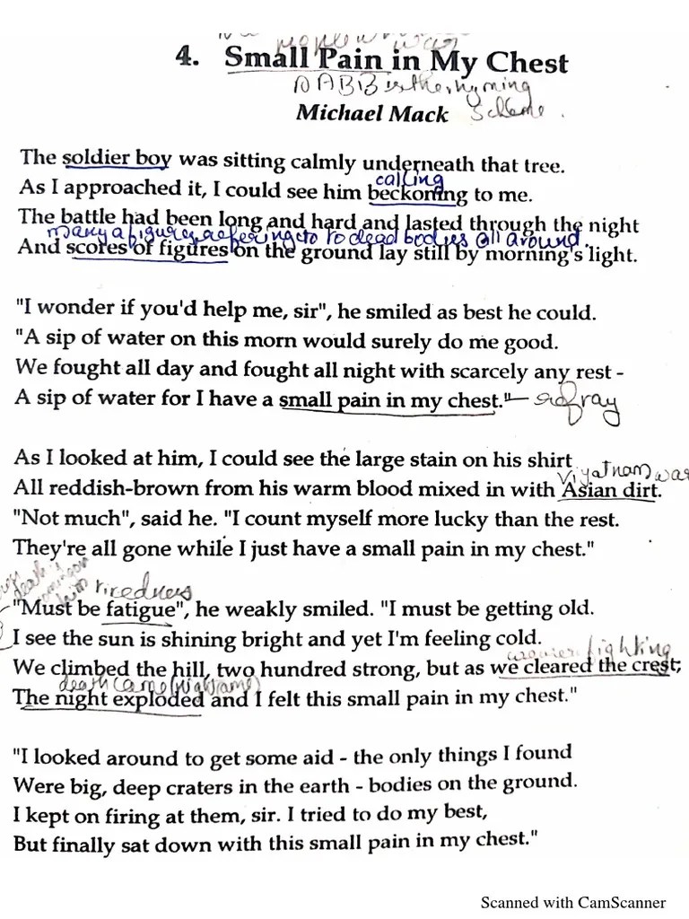 Small Pain in My Chest by Michael Mack PDF