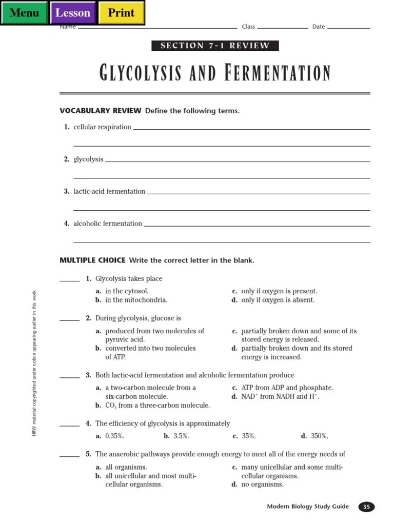 Glycolysis and Fermentation Worksheet Review PDF Glycolysis Mitosis