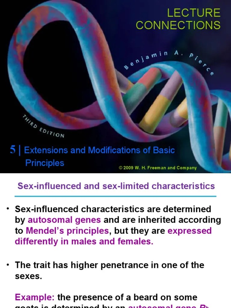 Connections Extensions and Modifications of Basic Principles PDF