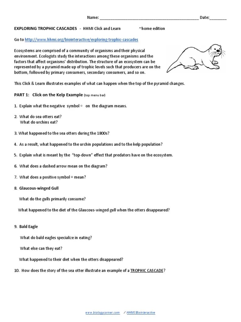 Exploring Trophic Cascades HHMI (Home Edition) PDF Food Web Habitat
