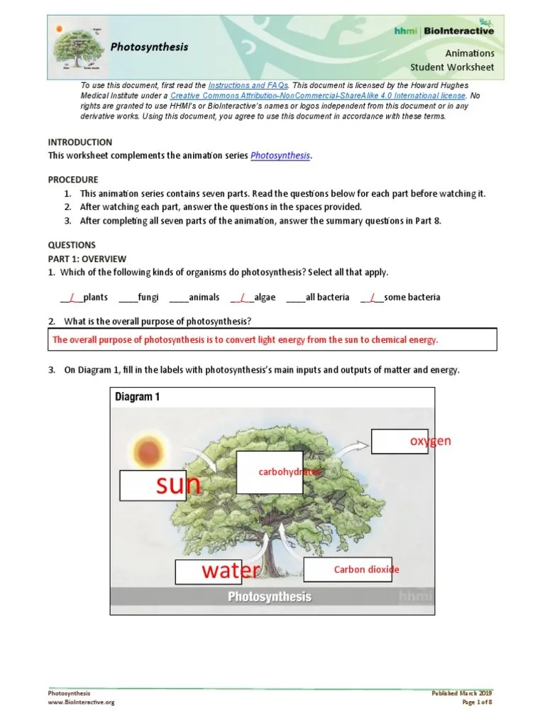 PHOTOSYNTHESIS-Student Worksheet (With Answers) | PDF | Photosynthesis