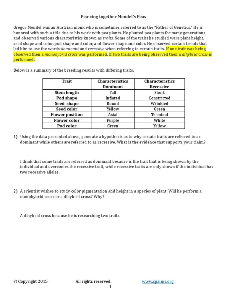 Pea Dihybrid Practice Worksheet | PDF | Dominance (Genetics) | Genetics