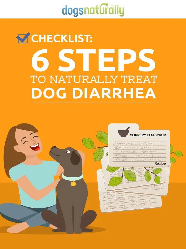 CheckList 6+Steps+to+Naturally+Treat+Dog+Diarrhea PDF Diarrhea