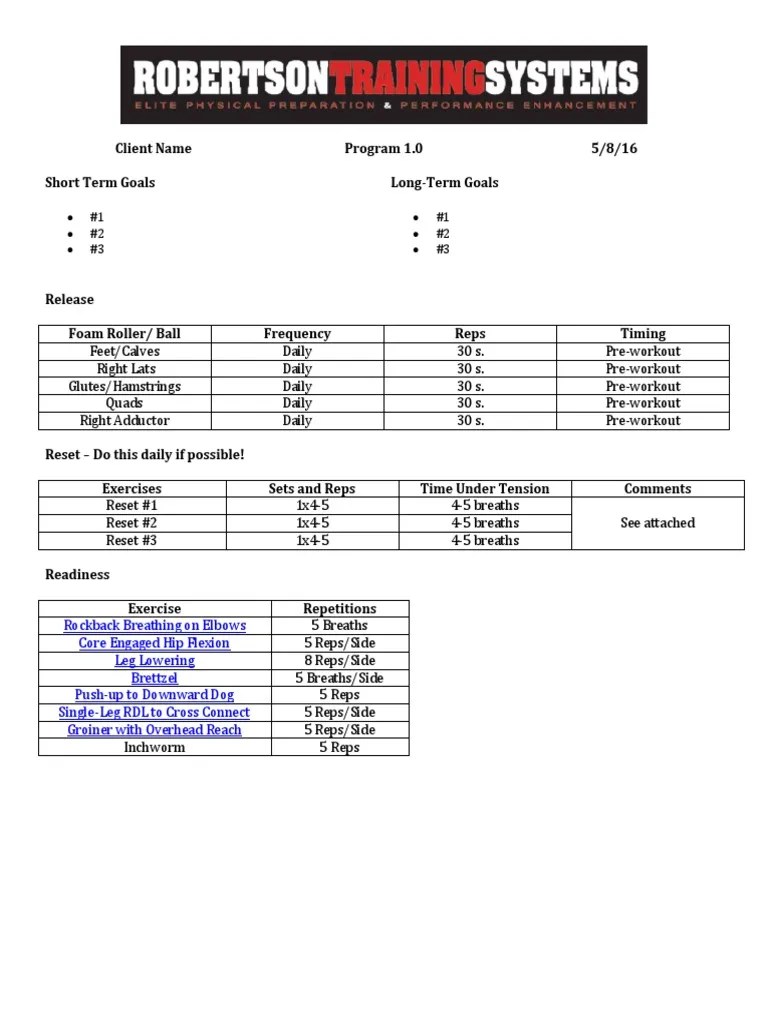 ISSA Online Coaching Certification Programming Template | PDF