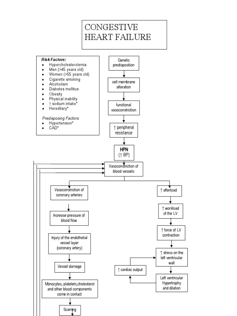Pathophysiology Diagram of Congestive Heart Failure | PDF | Heart